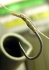 Korda Shrink Tube